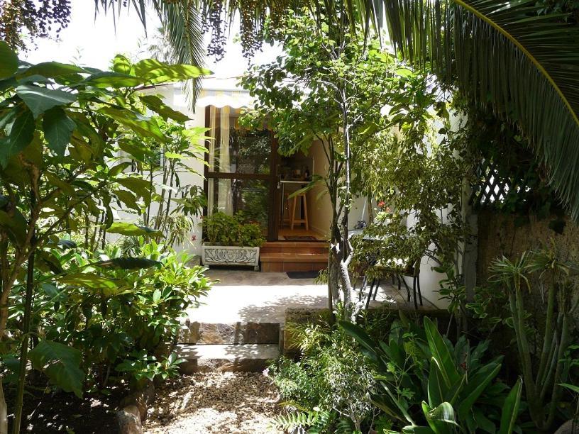 Casa Flora Loft Studio Sauzal Ngoại thất bức ảnh