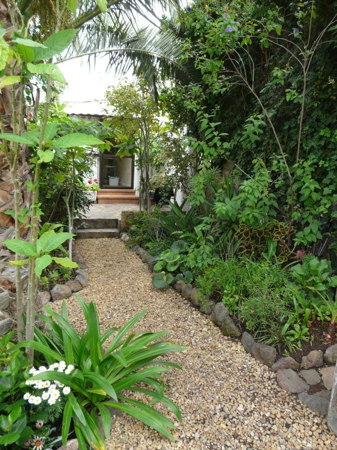 Casa Flora Loft Studio Sauzal Ngoại thất bức ảnh
