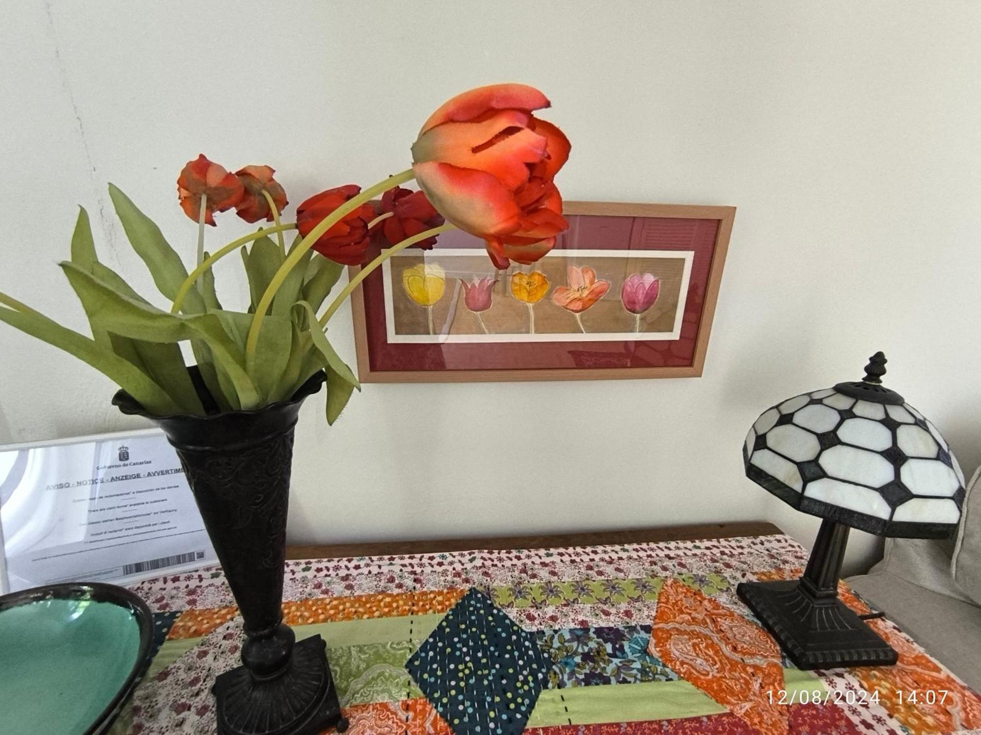 Casa Flora Loft Studio Sauzal Ngoại thất bức ảnh